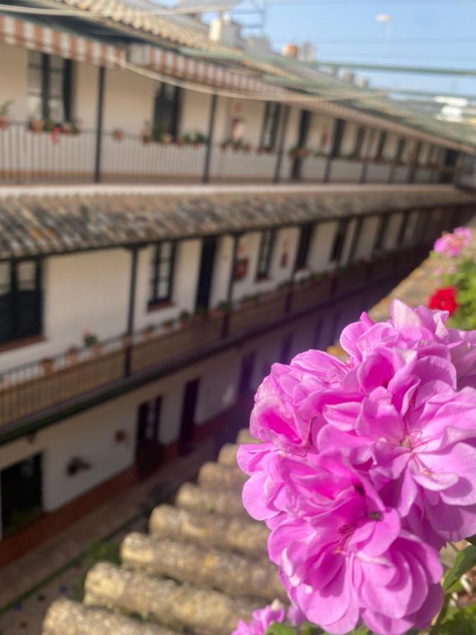 Appartement Alameda Center